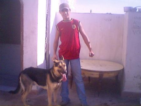 My Dog